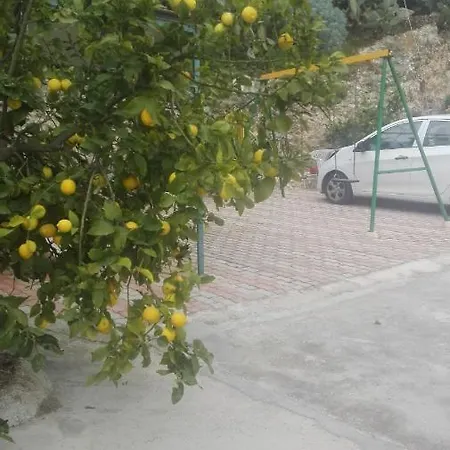 Дом отдыха Rita