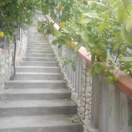 度假居 Rita 佩斯基奇